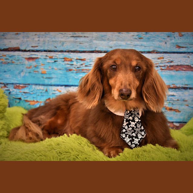 Photo of Cadbury