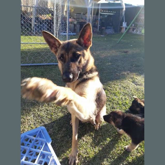 Photo of Mya   Meet And Greet Organised