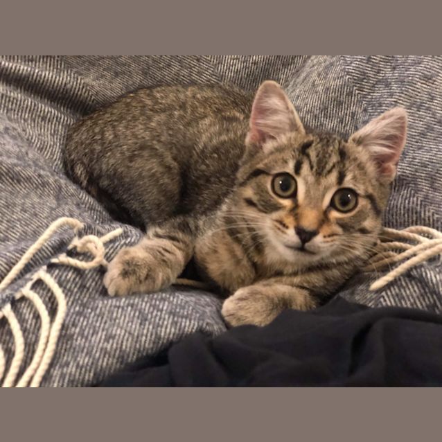 Photo of Playdoh 🥰