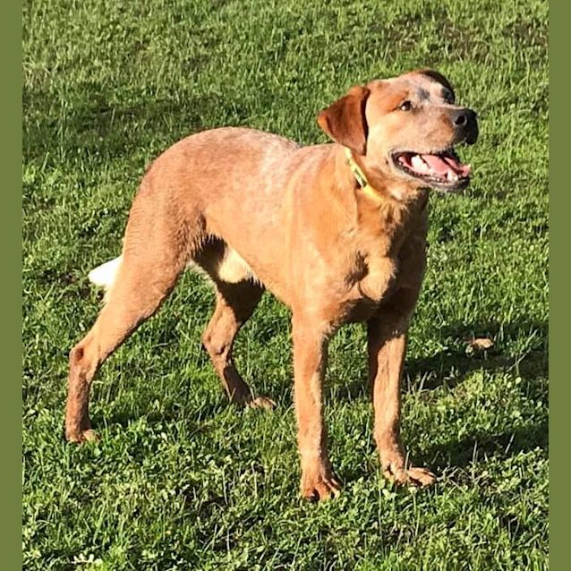 Photo of Ranger 😎