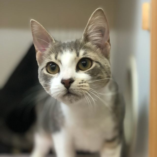 Photo of Lucy