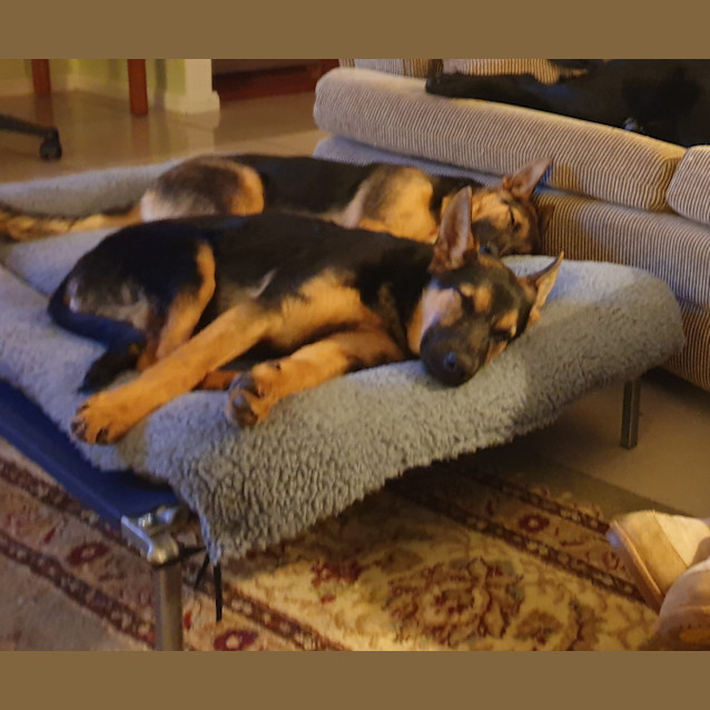 Photo of Jake   Meet And Greet Organised