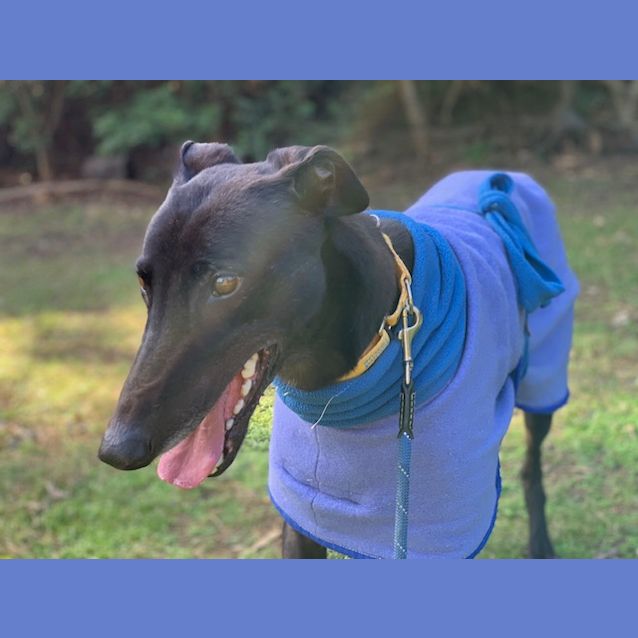Photo of Nyx