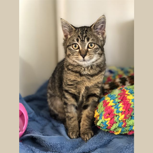 Photo of Sophie