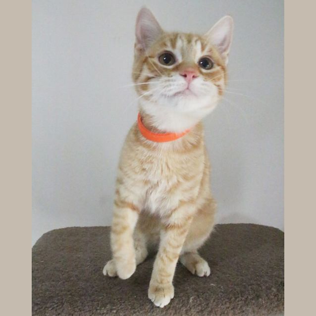Photo of Arabelle 