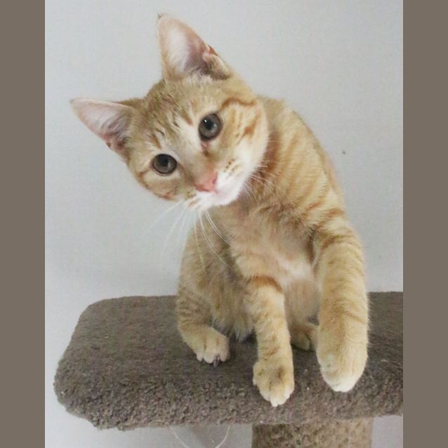Photo of Ameile