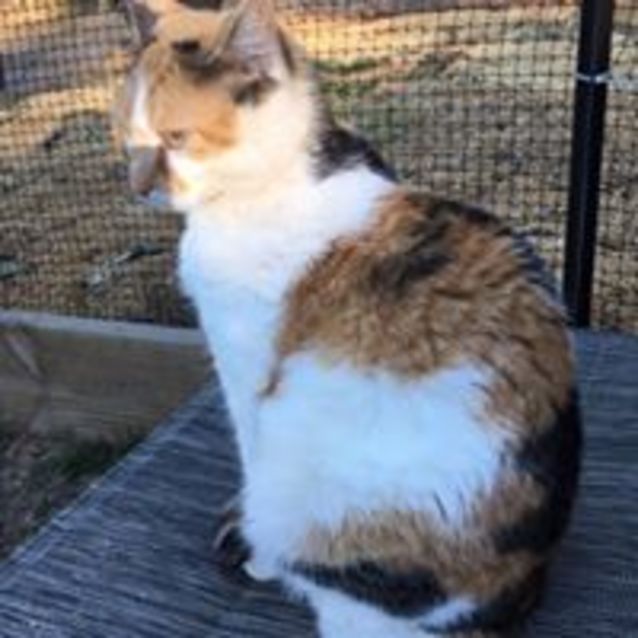 Photo of Phoebe