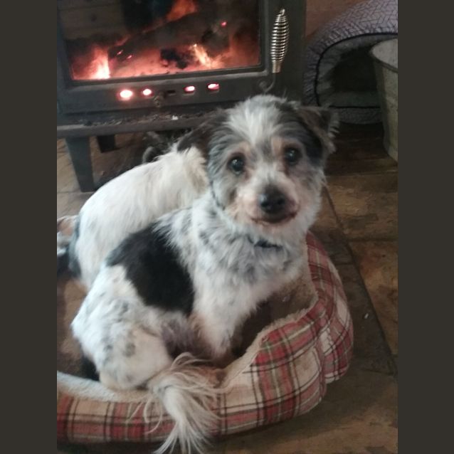 Photo of Jenny And Lola