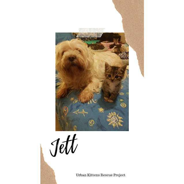 Photo of Jett