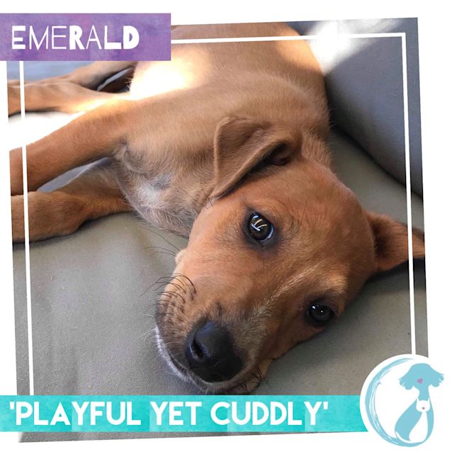 Photo of Emerald 