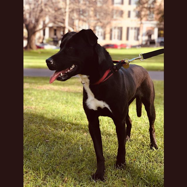 Photo of Bacielee