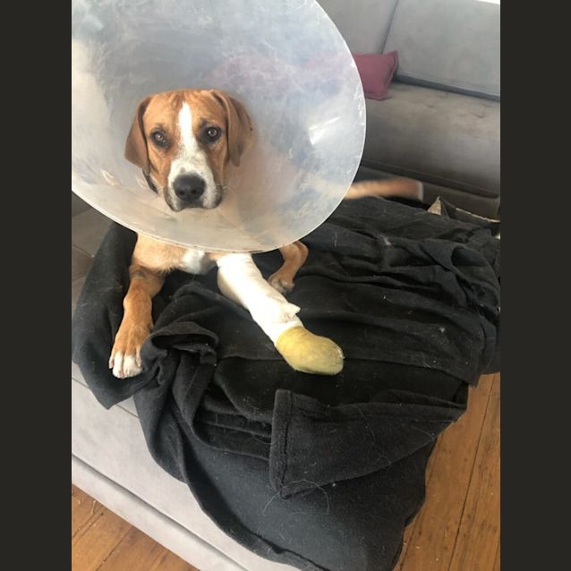 Photo of Kevin