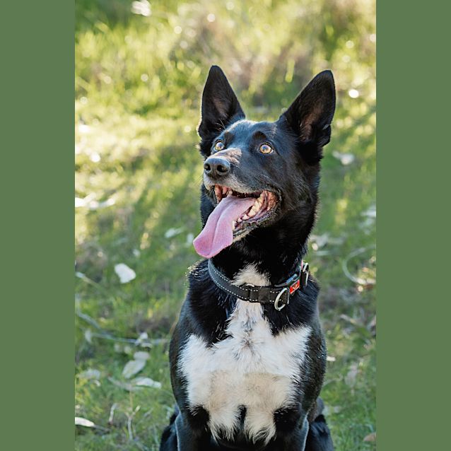 Photo of Bruce & Dougie