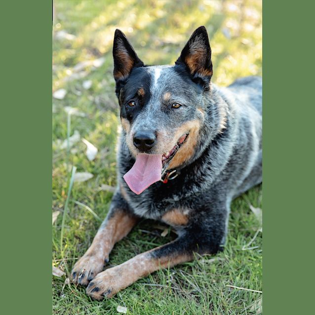 Photo of Bruce & Dougie