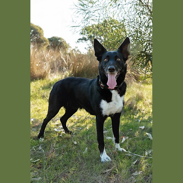 Photo of Bruce & Dougie