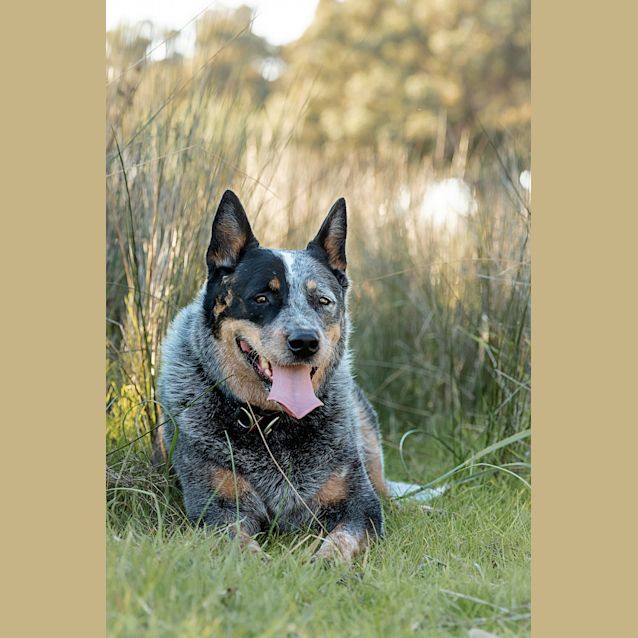 Photo of Bruce & Dougie