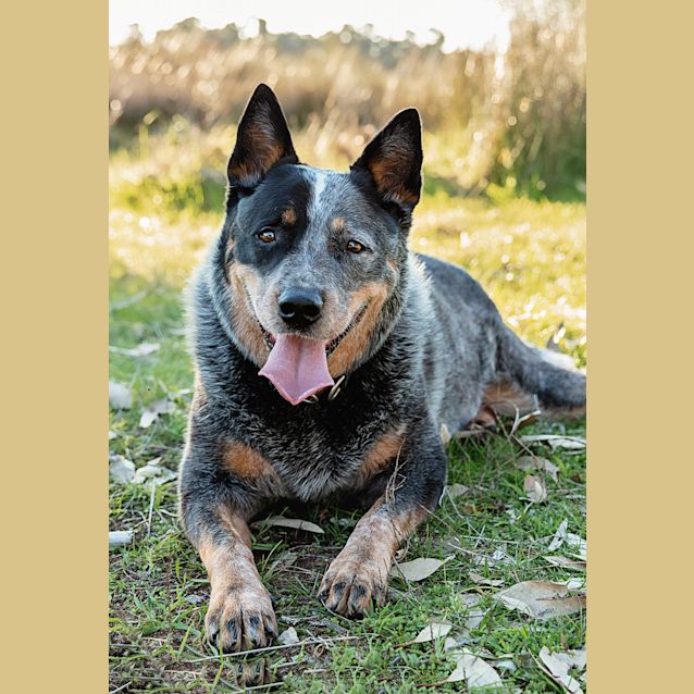 Photo of Bruce & Dougie