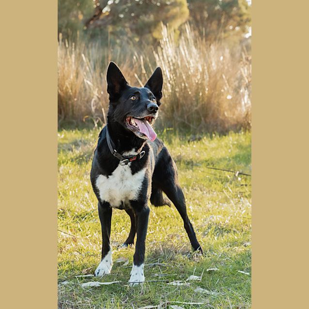 Photo of Bruce & Dougie