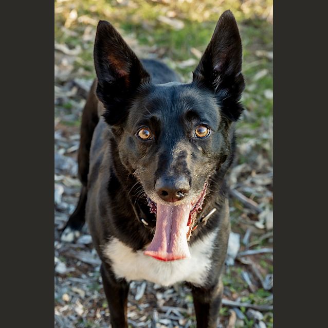 Photo of Bruce & Dougie