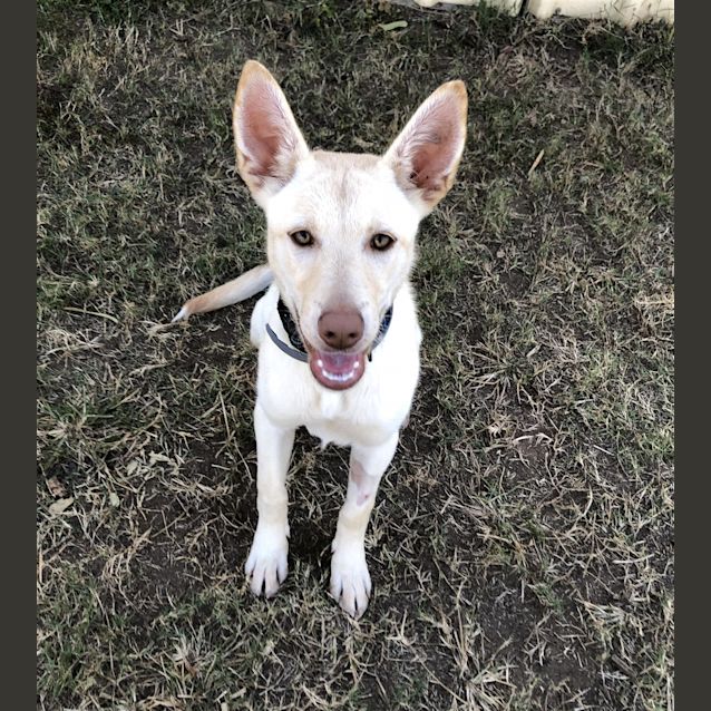 Photo of Ellie