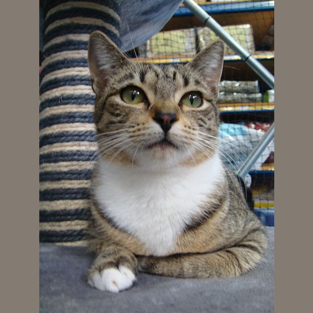 Photo of Missy