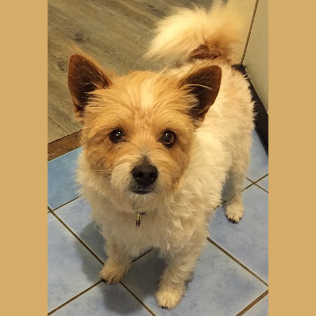 Photo of 🐾Bouncer🐾