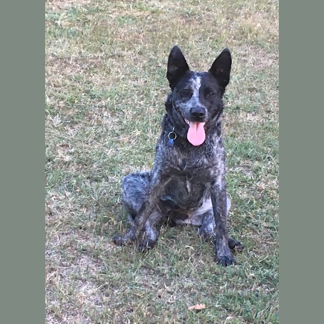 Photo of Jet