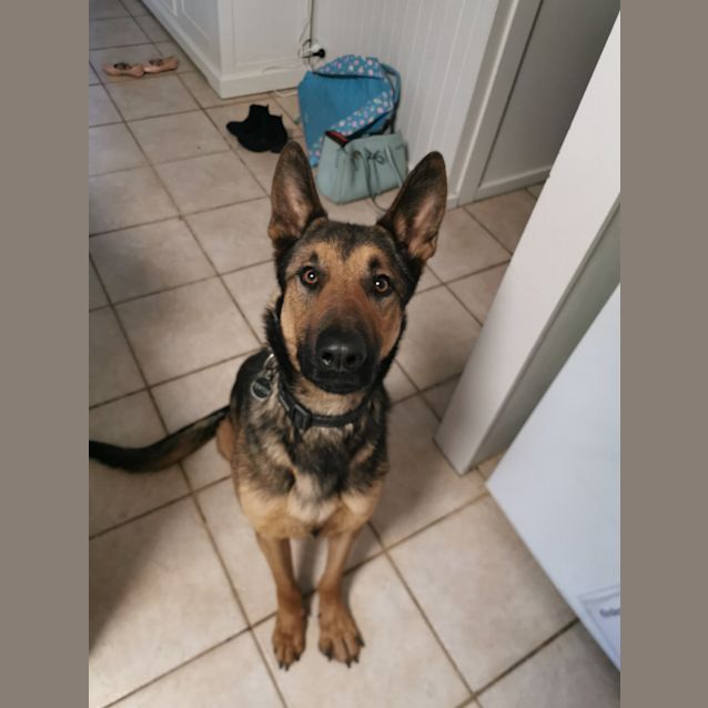 Photo of Fenton