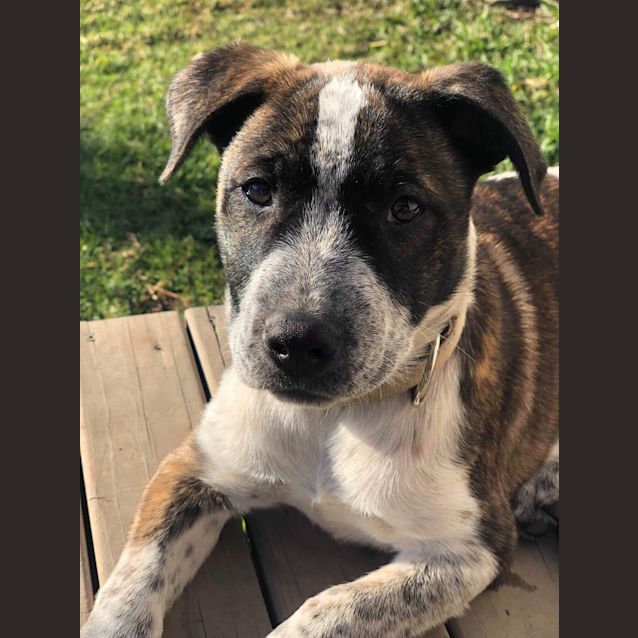Photo of Vinnie