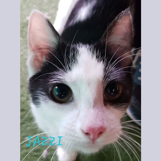 Photo of Jazzi