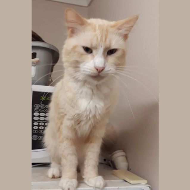 Photo of Casper