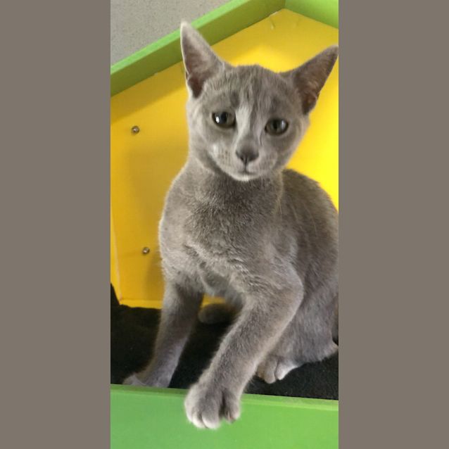 Photo of Grace