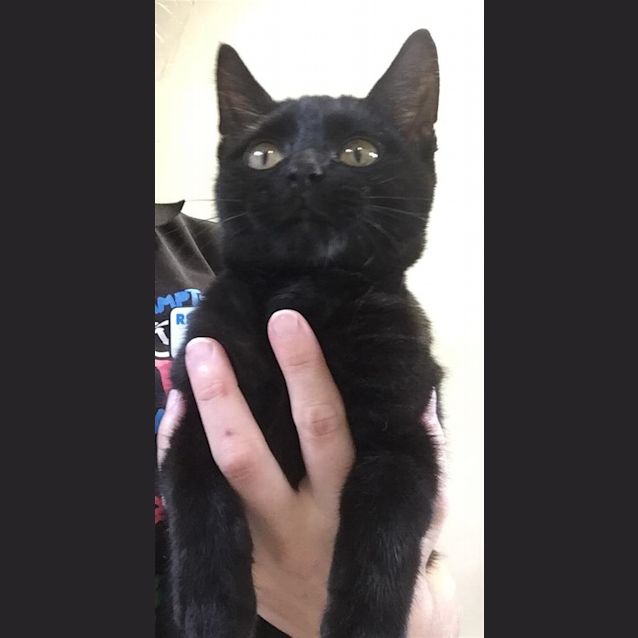 Photo of Jude