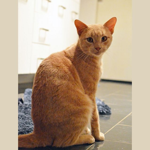 Photo of Timmy