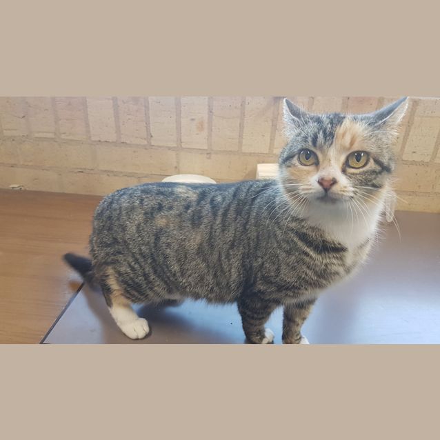 Photo of Luna