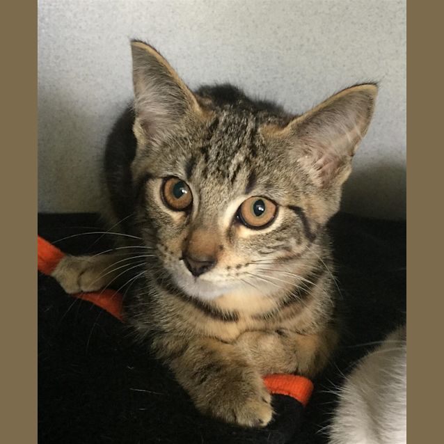Photo of Prudence
