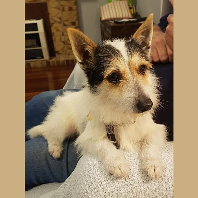 Photo of Frank D0064