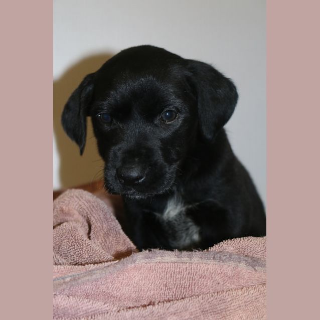 Photo of Mercy