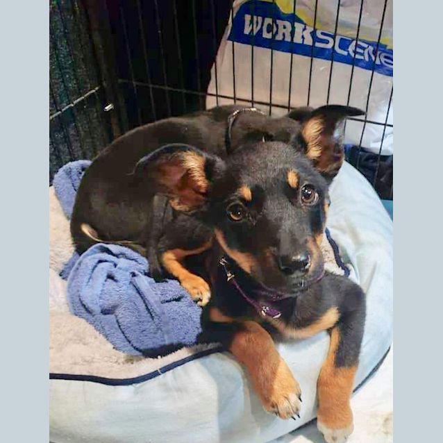 Photo of Bonnie 💕