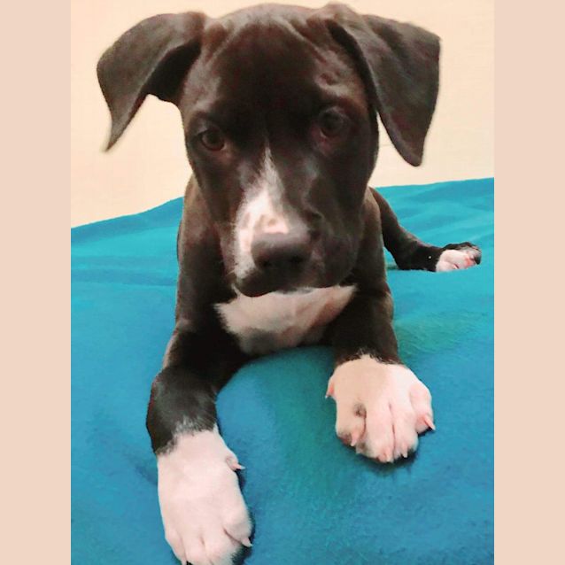 Photo of Ted