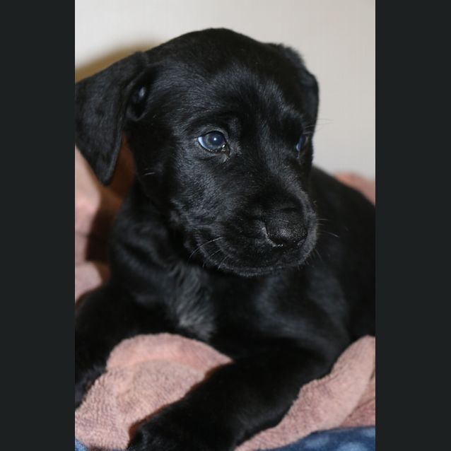 Photo of Deke