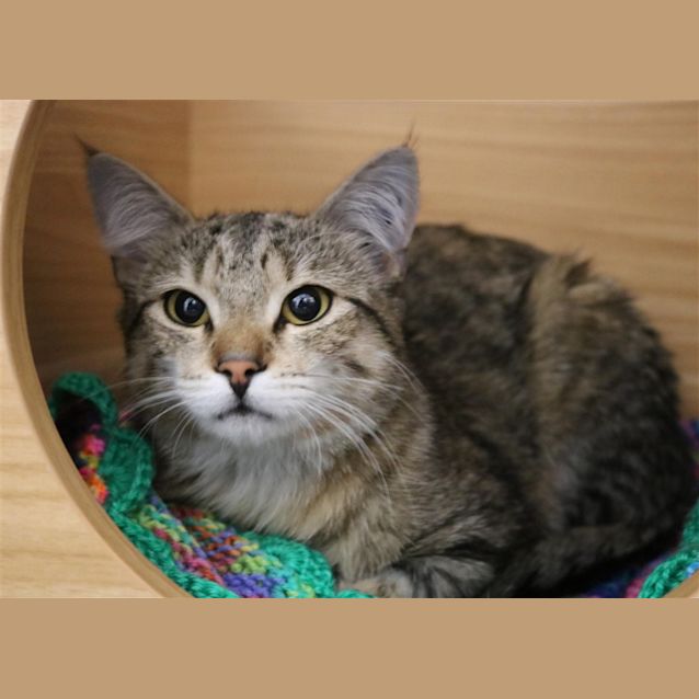 Photo of Chiquita
