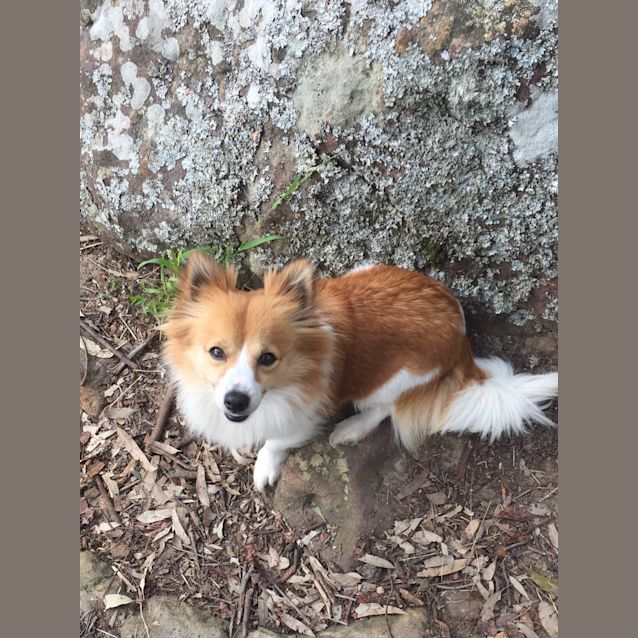 Photo of Evie