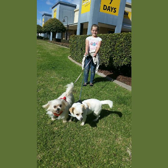 Photo of Andy & Bella