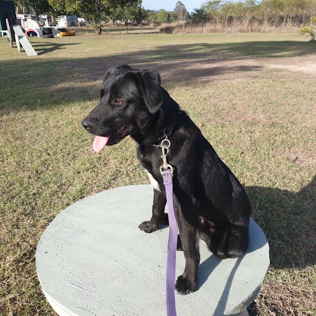 Photo of Jasper 