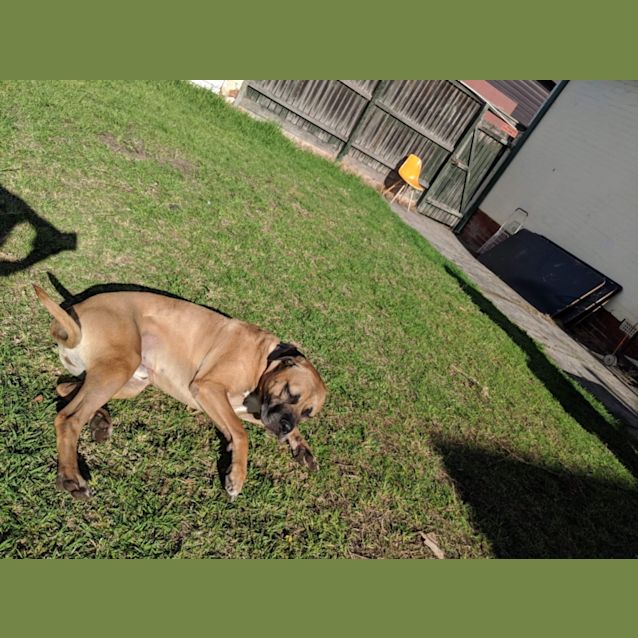 Photo of Jet