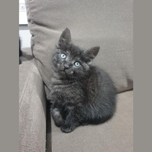 Photo of Harvey♥︎