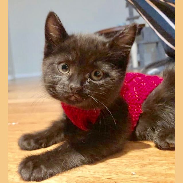 Photo of  Sabrina💋