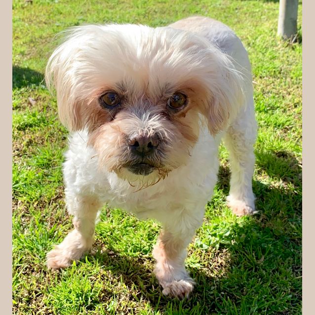 Photo of Lily & Daisy