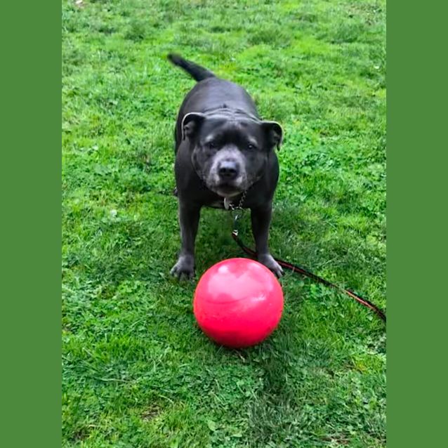 Photo of 💗 Shelby 💗